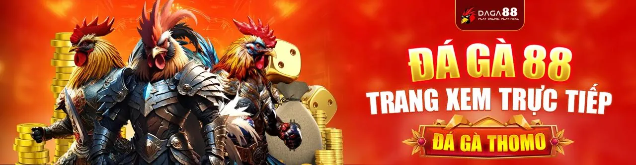 Sân chọi gà trực tuyến 88go5 Nhà Cái