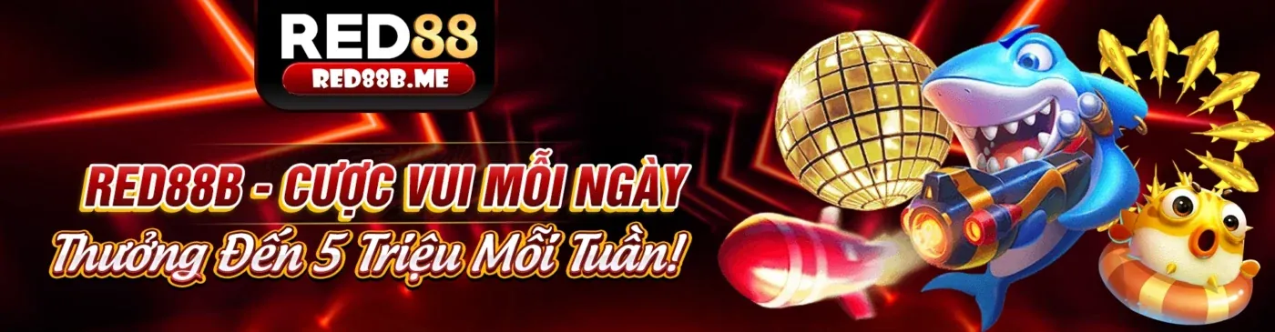 Hình ảnh chính 88go5 nhà cái, nền tảng cá cược trực tuyến sôi động